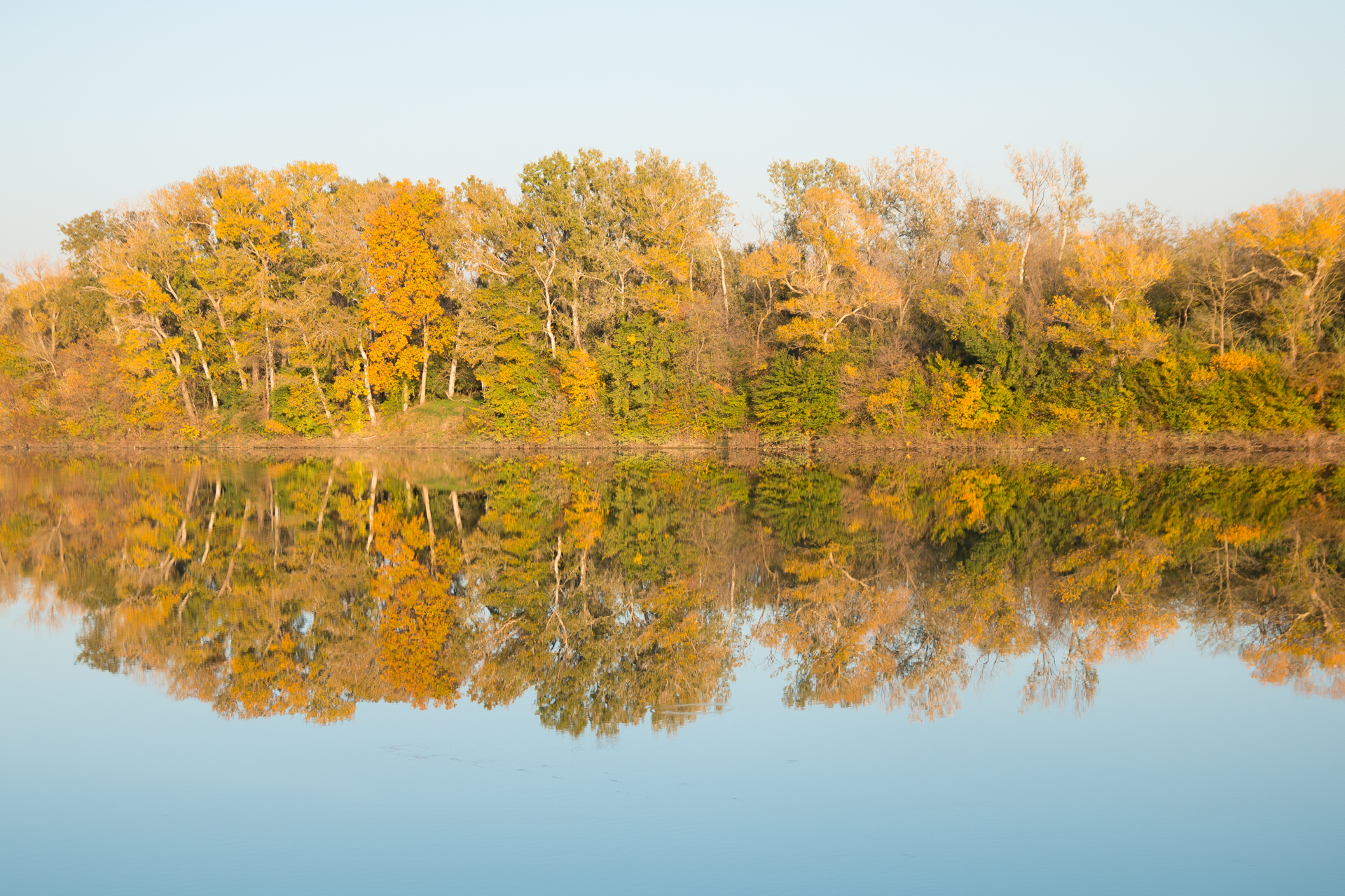 L' Oeil Noir Photographie
